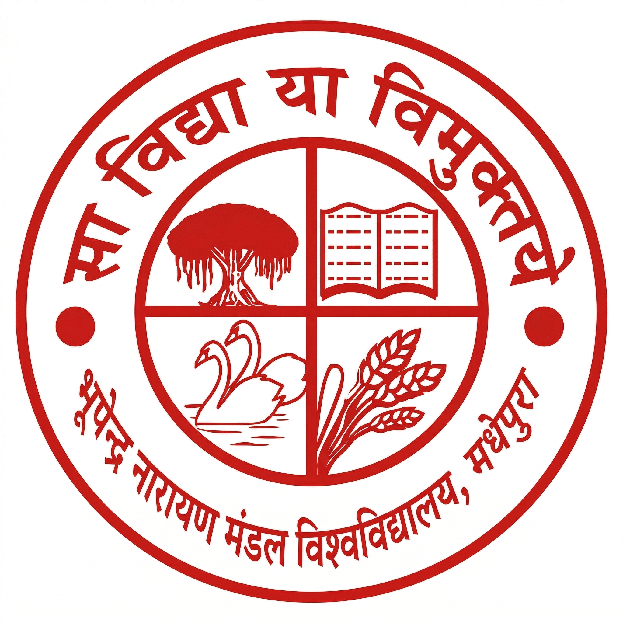 BNMU Logo